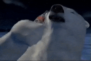 200.gif