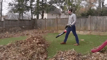 200.gif