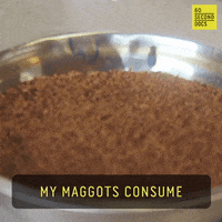 200.gif