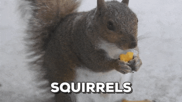 200.gif