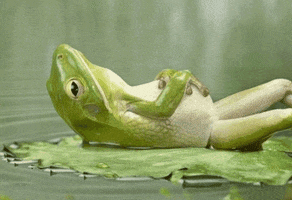 200.gif