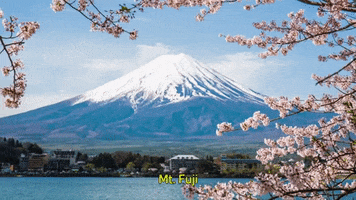 200.gif