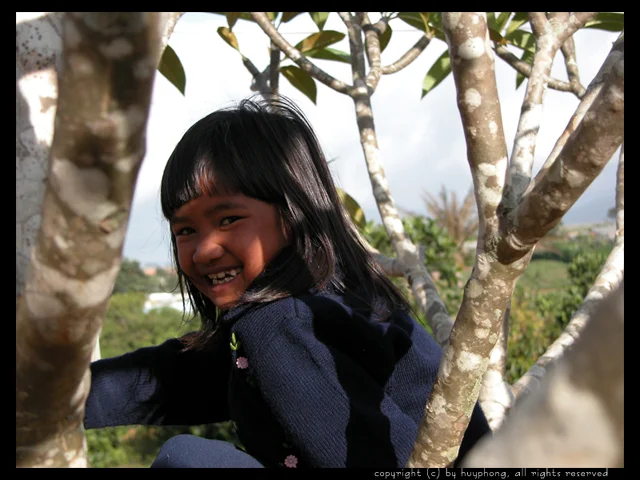 20113221352.webp