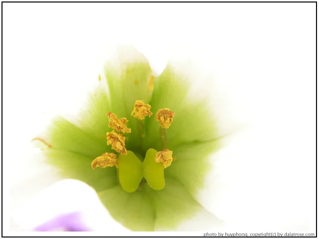 201215161113.webp