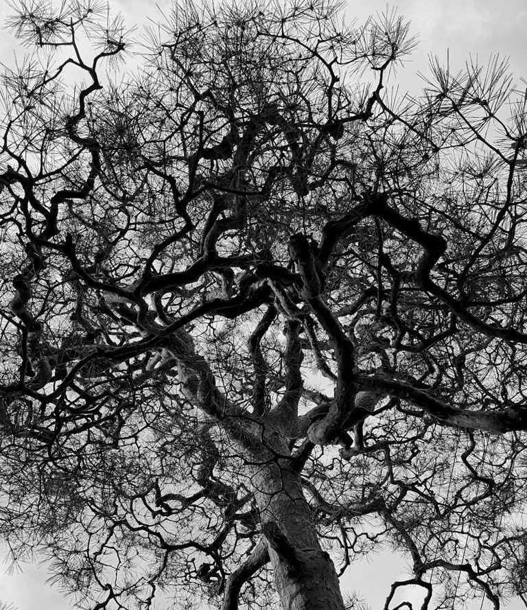 21-nanzenji.webp