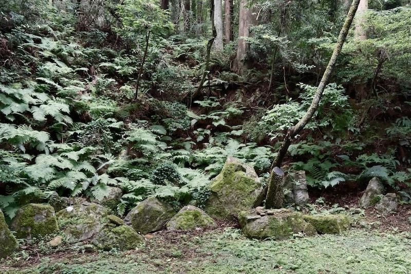 22.webp