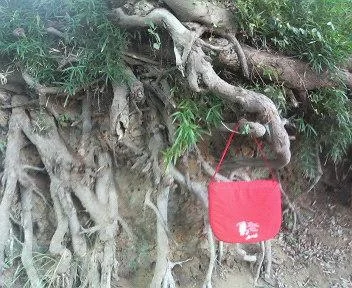 223277456_433e7c95ef_o-1.webp