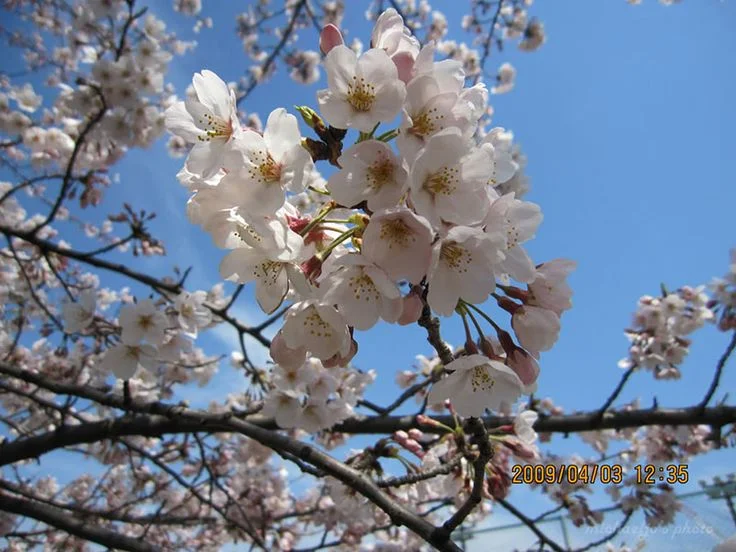 22ae8a81ab5e3d9546c73d3901856caa.webp