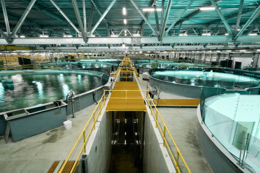 Post-Smolt Grow-out Building