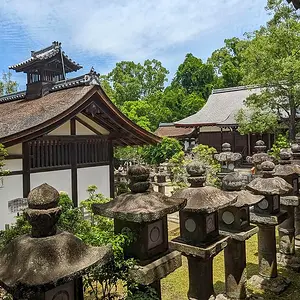 Nara in June 2025