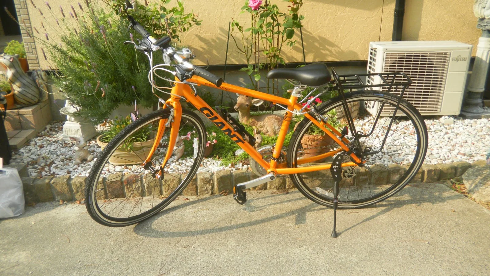3 bike in front of deer.webp
