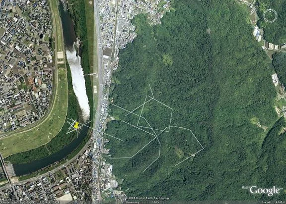 333hiro50feet555zg5gif-1.webp 333hiro50feet555zg5gif-1.webp