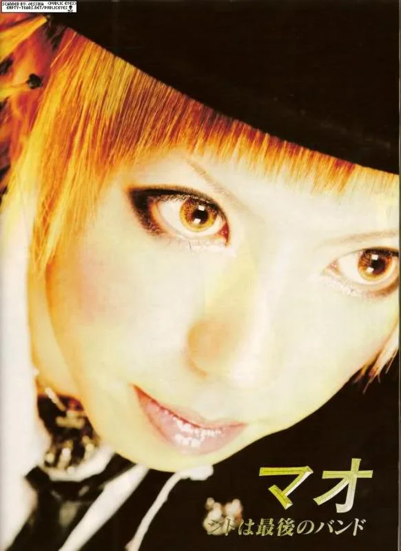 335cv0y-1.webp