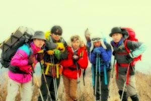 341large-1.webp