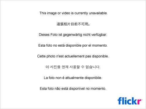 3807475236_baae78084e-1.webp