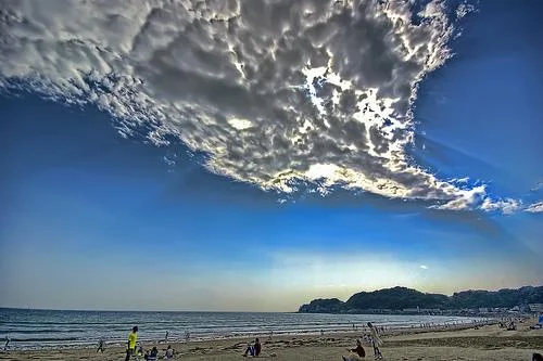48377566568ff79d13eqh6-1.webp