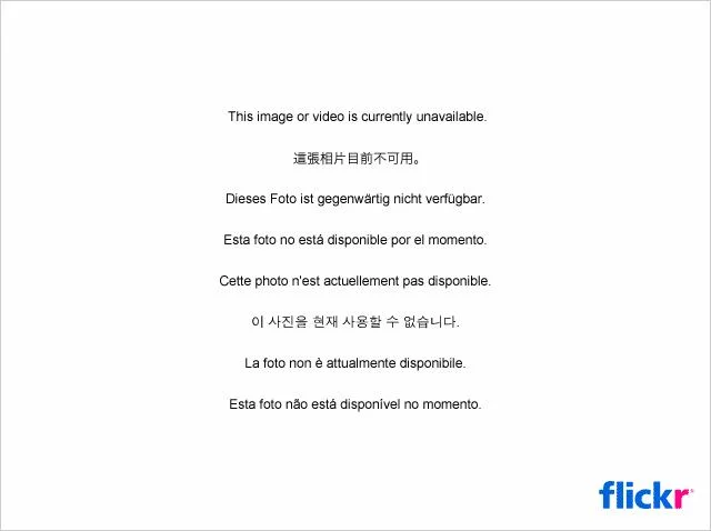 4864669287_debfe9d6b3_z-1.webp