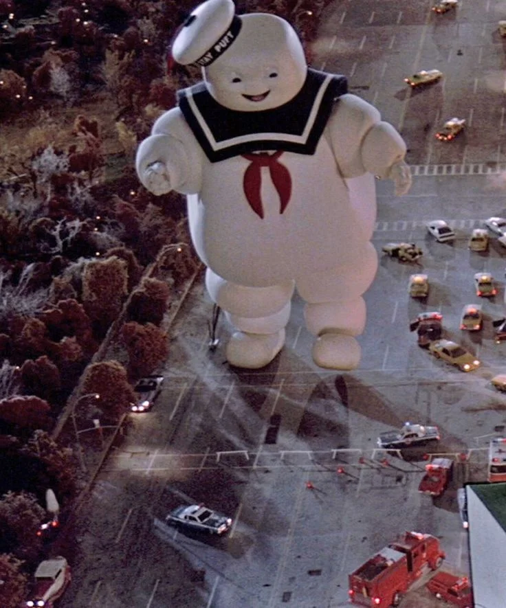 4889d6e683df2f93c4503ebc6b4dd02c--stay-puff-first-halloween-costumes.webp