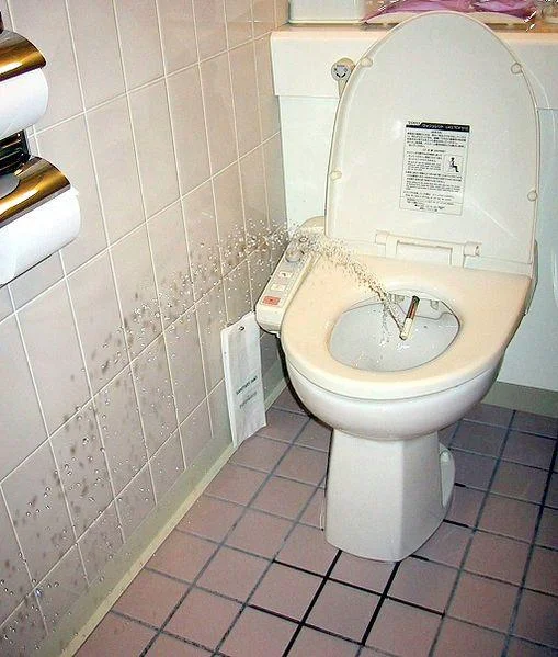 509pxJapaneseToiletBidet-1.webp