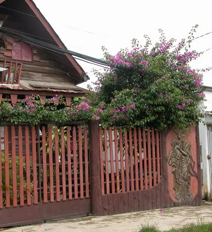 510200408-1.webp