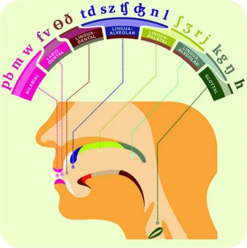 569445dd4292d5baf1a103be7b99eb0a--speech-language-pathology-speech-and-language.webp