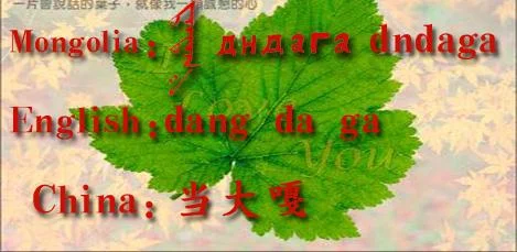 60158873350585tu-1.webp