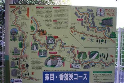 767016090_cwkHRS-1.webp