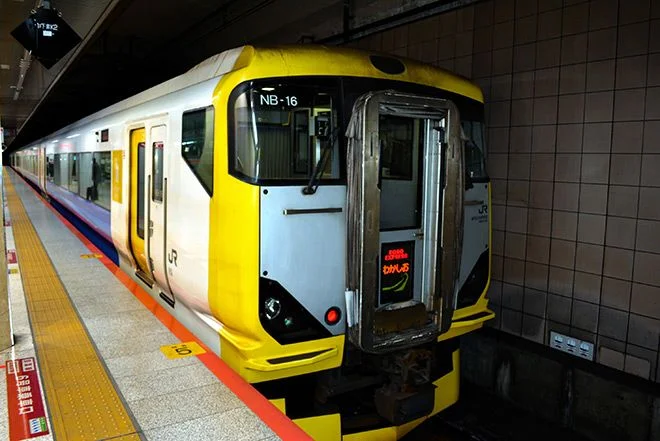 Wakashio, connecting Tokyo and Awa-Kamogawa station in Chiba Prefecture