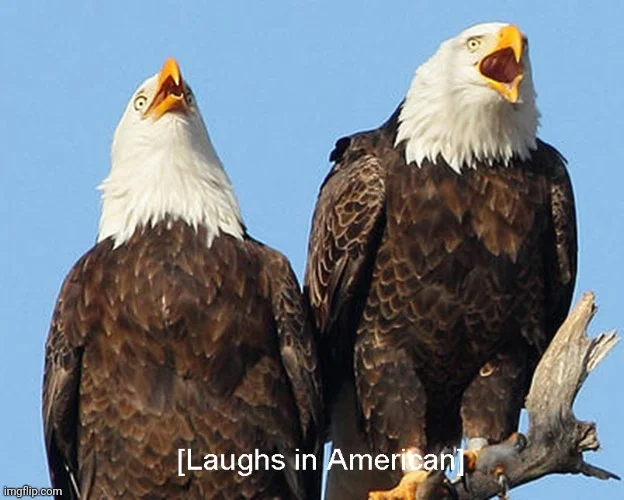 7cblug.webp