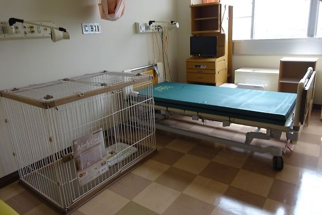 Gifu hospitals permit inpatients to recover alongside their dogs
