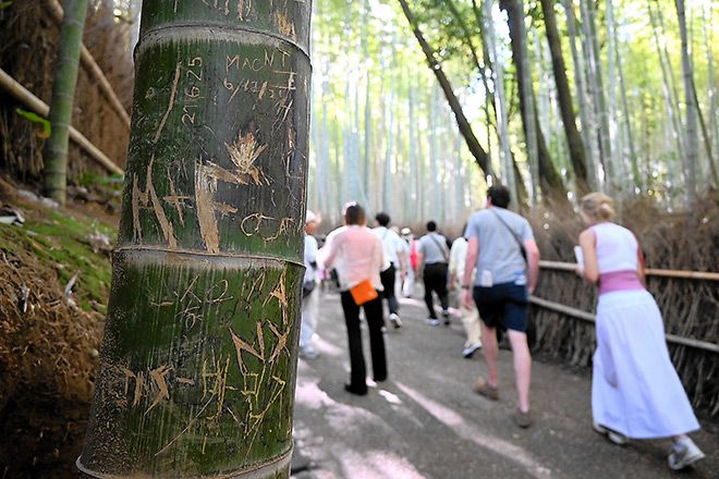 Arashiyama bamboo forest