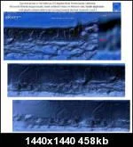 831tnlionleftsouth888th-1.webp