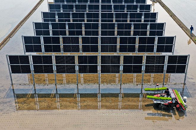 Vertical solar panels transform Japan’s rural landscape