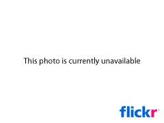 8895171751_bbcdac42b3_m-1.webp