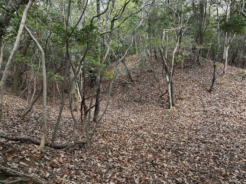 AI helping researchers, laypeople discover archaeological sites in Japan mountains