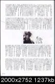 9399f2e8mj1th-1.webp