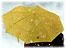 _41416218_umbrellaap66-1.webp