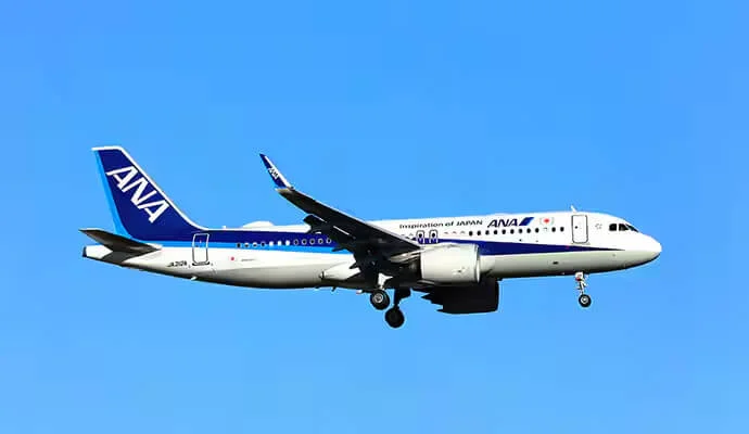 ANA Airbus 320