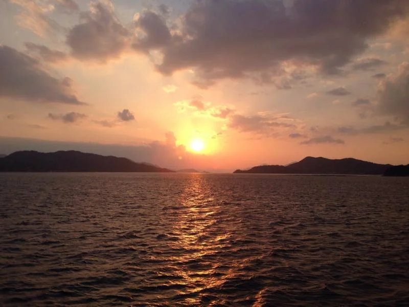 a4y8umur-1.webp