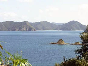 amami-island.webp