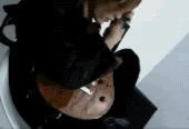 animatioadn1187uw1gif-1.webp
