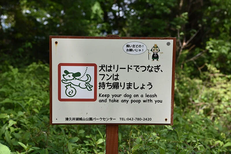 any-poop.webp