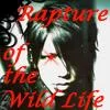 aoi2yq0-1.webp