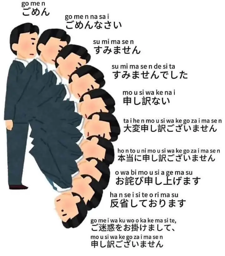 apologise-in-japanese.webp
