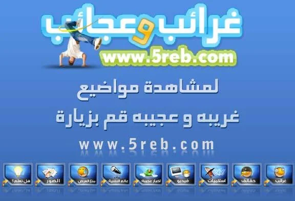 arkofnoah_2-1.webp