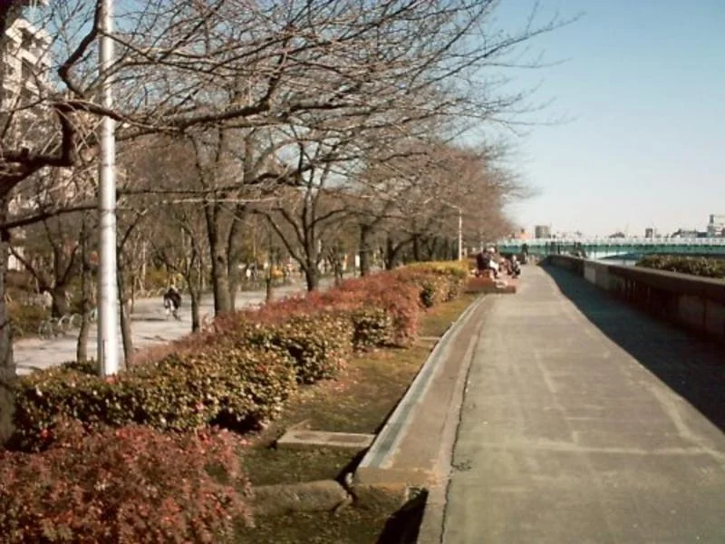 asakusaga2png-1.webp