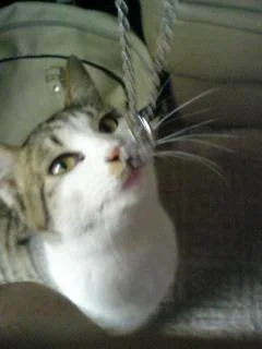 ayabiey739774074157400apf5-1.webp