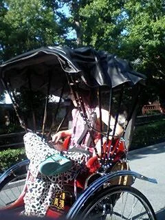 b011512316301858gs0-1.webp