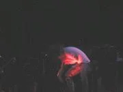 b2be9439418422gif-1.webp