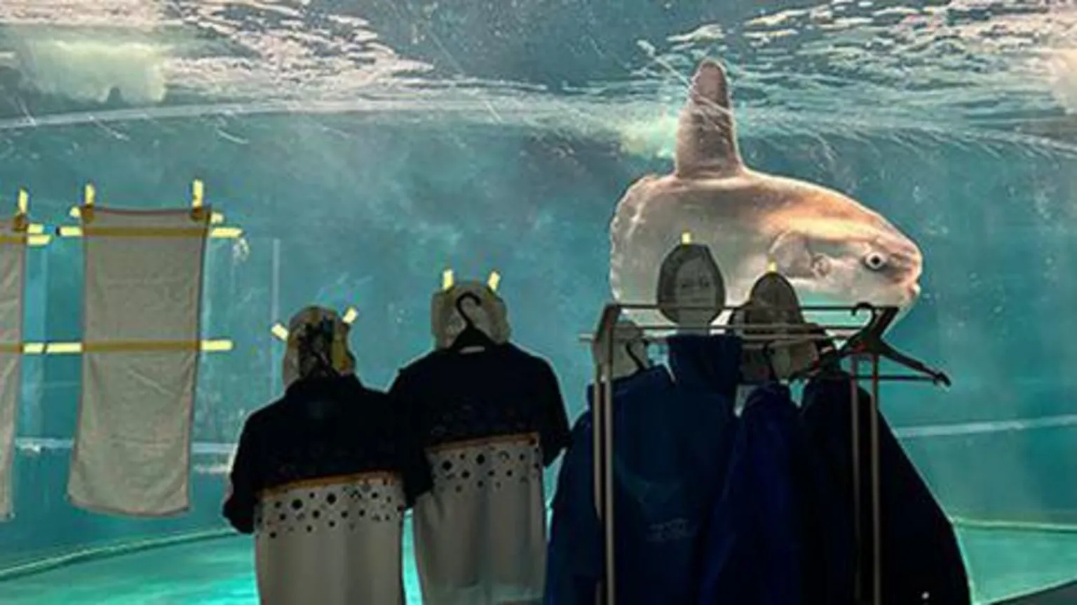 Shimonoseki Aquarium